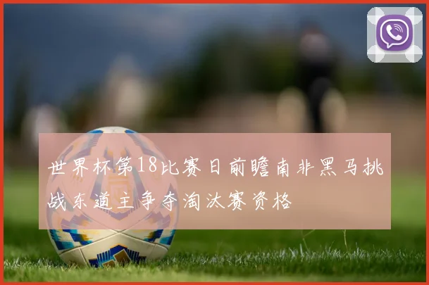 世界杯第18比赛日前瞻南非黑马挑战东道主争夺淘汰赛资格