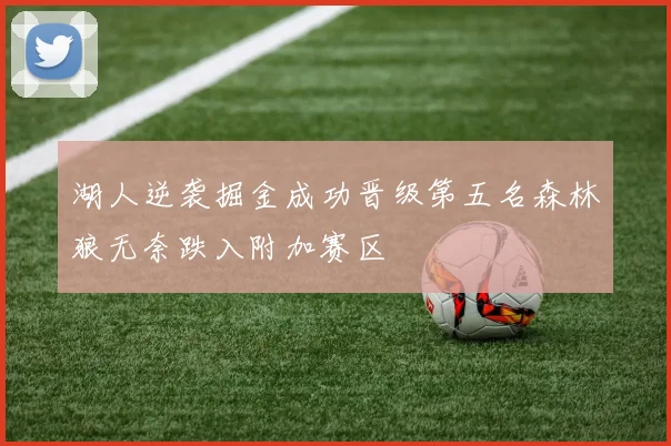 湖人逆袭掘金成功晋级第五名森林狼无奈跌入附加赛区